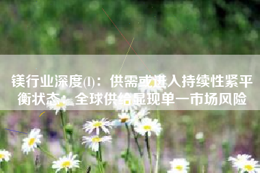 镁行业深度(I)：供需或进入持续性紧平衡状态：全球供给显现单一市场风险