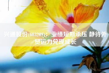 兴通股份(603209)：业绩短期承压 静待外贸运力兑现成长