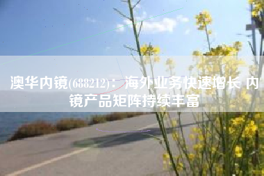 澳华内镜(688212)：海外业务快速增长 内镜产品矩阵持续丰富