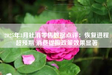 2025年3月社消零售数据点评：恢复进程超预期 消费提振政策效果显著