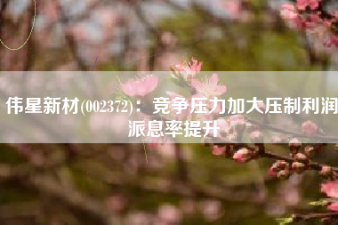 伟星新材(002372)：竞争压力加大压制利润 派息率提升