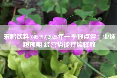 东鹏饮料(605499)2025年一季报点评：业绩超预期 经营势能持续释放