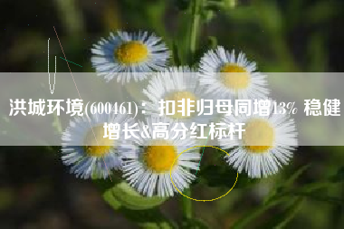 洪城环境(600461)：扣非归母同增13% 稳健增长&高分红标杆