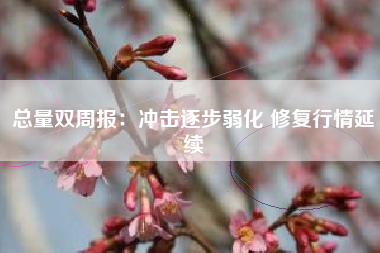 总量双周报：冲击逐步弱化 修复行情延续