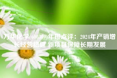 万华化学(600309)年报点评：2024年产销增长经营稳健 新项目保障长期发展