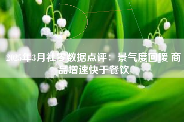2025年3月社零数据点评：景气度回暖 商品增速快于餐饮