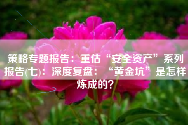 策略专题报告：重估“安全资产”系列报告(七)：深度复盘：“黄金坑”是怎样炼成的？