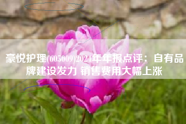 豪悦护理(605009)2024年年报点评：自有品牌建设发力 销售费用大幅上涨