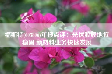 福斯特(603806)年报点评：光伏胶膜地位稳固 新材料业务快速发展