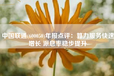 中国联通(600050)年报点评：算力服务快速增长 派息率稳步提升
