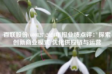 百联股份(600827)2024年报业绩点评：探索创新商业模式 优化供应链与运营