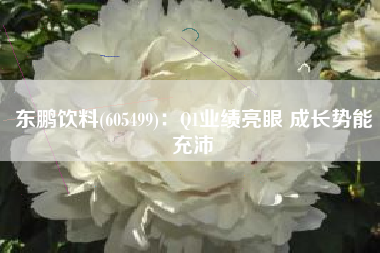 东鹏饮料(605499)：Q1业绩亮眼 成长势能充沛