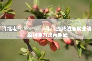 许继电气(000400)：24年计提减值拖累业绩 盈利能力改善明显