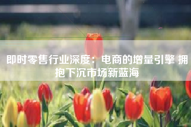 即时零售行业深度：电商的增量引擎 拥抱下沉市场新蓝海