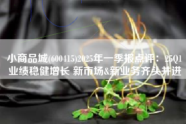 小商品城(600415)2025年一季报点评：25Q1业绩稳健增长 新市场&新业务齐头并进