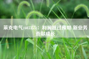 莱克电气(603355)：利润超过预期 新业务贡献成长