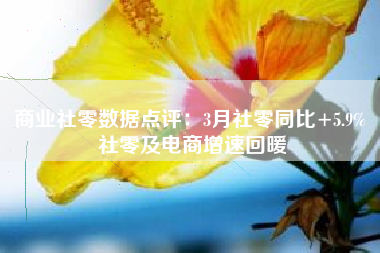 商业社零数据点评：3月社零同比+5.9% 社零及电商增速回暖