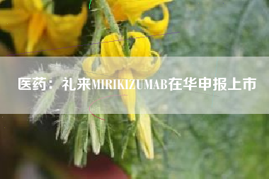 医药：礼来MIRIKIZUMAB在华申报上市