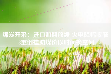 煤炭开采：进口如期放缓 火电降幅收窄 3重倒挂助煤价以时间换空间