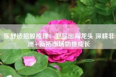 乐舒适招股梳理：卫品出海龙头 深耕非洲+新拓市场助推成长