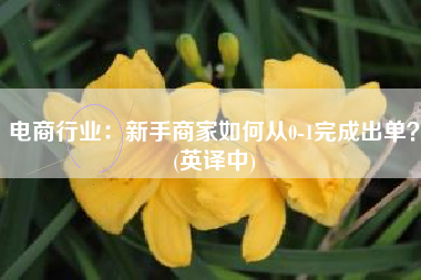电商行业：新手商家如何从0-1完成出单？(英译中)