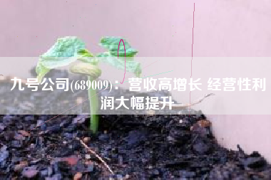 九号公司(689009)：营收高增长 经营性利润大幅提升