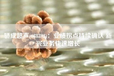 骄成超声(688392)：业绩拐点持续确认 新兴业务快速增长