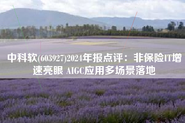 中科软(603927)2024年报点评：非保险IT增速亮眼 AIGC应用多场景落地