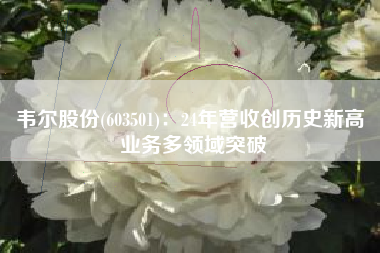 韦尔股份(603501)：24年营收创历史新高 业务多领域突破