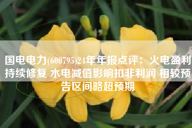 国电电力(600795)24年年报点评：火电盈利持续修复 水电减值影响扣非利润 相较预告区间略超预期