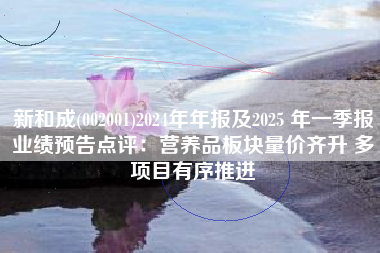 新和成(002001)2024年年报及2025 年一季报业绩预告点评：营养品板块量价齐升 多项目有序推进