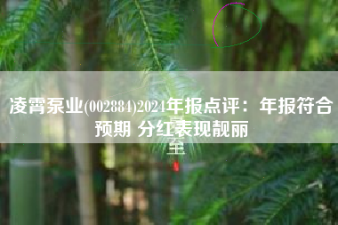 凌霄泵业(002884)2024年报点评：年报符合预期 分红表现靓丽