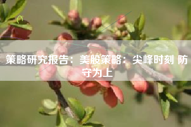 策略研究报告：美股策略：尖峰时刻 防守为上