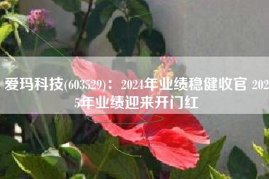 爱玛科技(603529)：2024年业绩稳健收官 2025年业绩迎来开门红