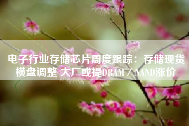 电子行业存储芯片周度跟踪：存储现货横盘调整 大厂或提DRAM／NAND涨价