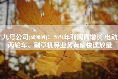 九号公司(689009)：2024年利润高增长 电动两轮车、割草机等业务有望快速放量