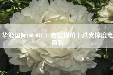 华能国际(600011)：看好煤价下跌支撑度电盈利
