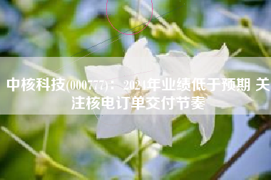 中核科技(000777)：2024年业绩低于预期 关注核电订单交付节奏