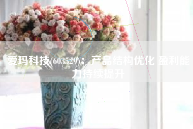 爱玛科技(603529)：产品结构优化 盈利能力持续提升