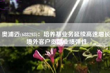 奥浦迈(688293)：培养基业务延续高速增长 境外客户贡献业绩弹性