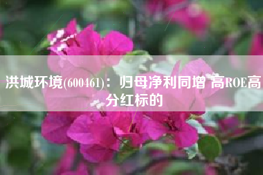 洪城环境(600461)：归母净利同增 高ROE高分红标的