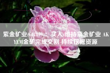 紫金矿业(601899)：买入/维持紫金矿业 AKYEM金矿完成交割 持续挖掘资源