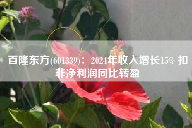 百隆东方(601339)：2024年收入增长15% 扣非净利润同比转盈
