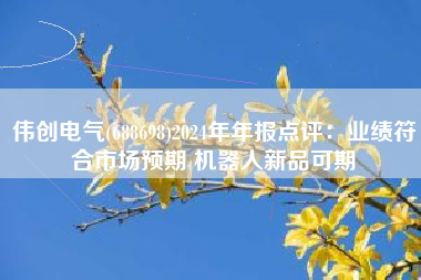 伟创电气(688698)2024年年报点评：业绩符合市场预期 机器人新品可期
