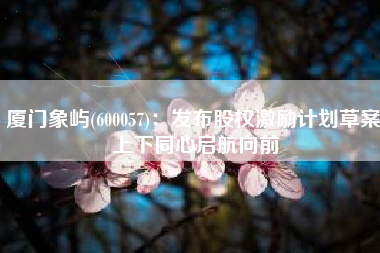 厦门象屿(600057)：发布股权激励计划草案 上下同心启航向前