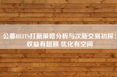 公募REITS打新策略分析与次新交易初探：收益有超额 优化有空间