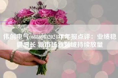 伟创电气(688698)2024年年报点评：业绩稳健增长 新市场新领域持续放量