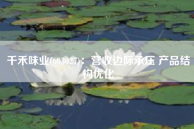 千禾味业(603027)：营收边际承压 产品结构优化