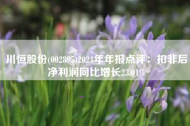 川恒股份(002895)2024年年报点评：扣非后净利润同比增长23.01%