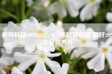 爱玛科技(603529)：2024年稳健收官 看好2025年量价齐升